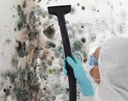 Best Commercial Mold Inspection  in Saddle Rock, NY